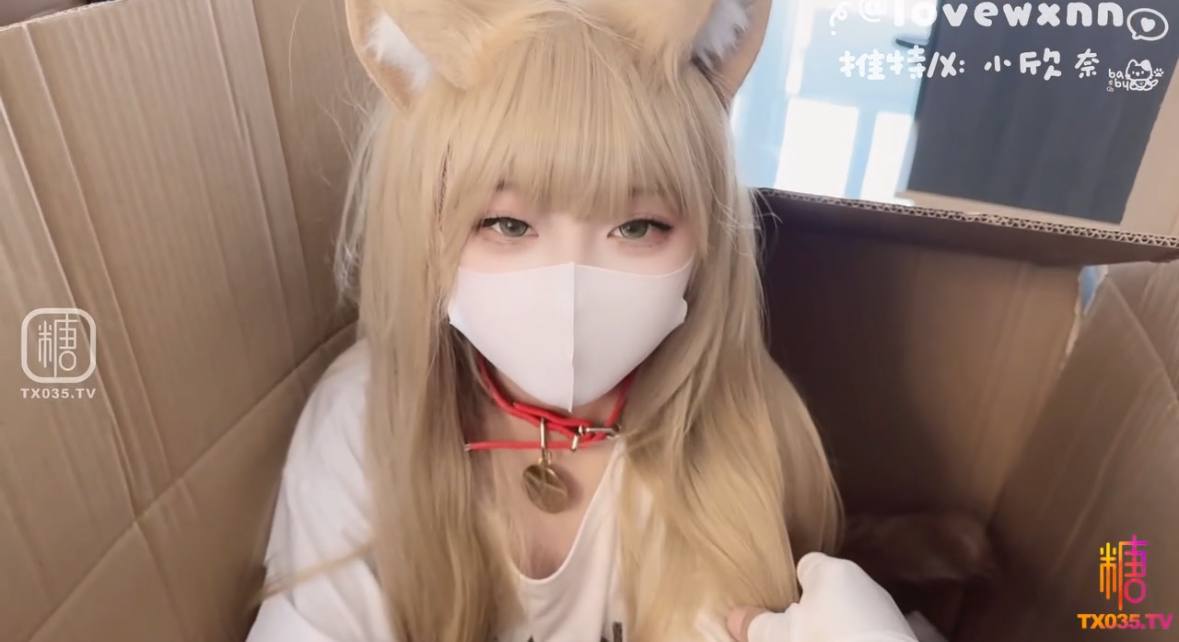 奇米影音盒アジアポルノ、ゾーン1とゾーン2