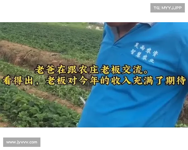 宁夏卫视直播全程报道精彩节目 不容错过的视觉盛宴 宁夏卫视直播全程报道精彩节目 不容错过的视觉盛宴